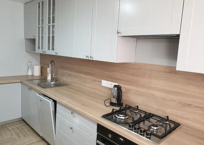 Best Apartment Truskavets * Трускавец
